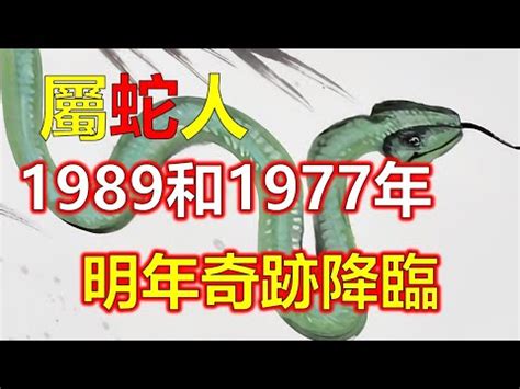 1989屬|1989年生肖蛇的是什么命 89年的属蛇人一生命运分析